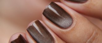 222 photos of brown manicure ideas (chocolate color)
