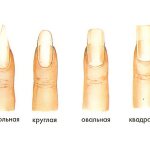 Basic nail shapes.