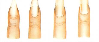 Basic nail shapes.