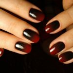 Ombre nail design: beautiful and fashionable options with photos, new items for 2018
