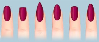 Nail shapes - overview of popular trends and selection rules