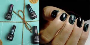 TNL Magnet effect gel polish collection