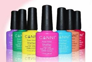 Summer colors CANNI