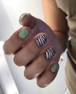 Manicure for short nails with zebra