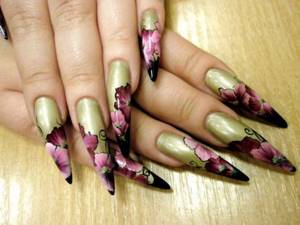 Manicure with flowers on long nails