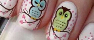 Manicure with owls, photo