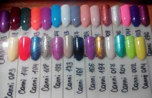 Review of the Canni gel polish color palette