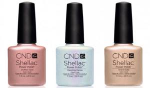 Pros and cons of shellac