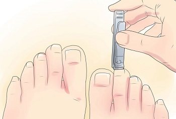 При обрезании ногтей книпсер нужно держать под прямым углом к ногтевой пластине