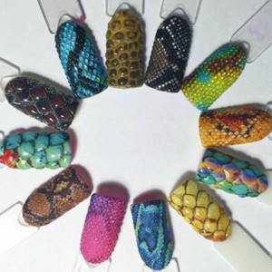 various manicure options with imitation reptile skin