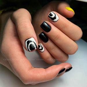 Zebra on nails photo_1