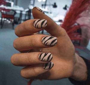 Zebra on nails photo_19