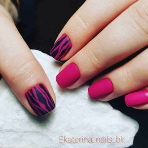 Zebra on nails photo_20