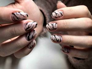 Zebra on nails photo_5