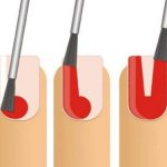 Zones of the nail plate and how to apply paint