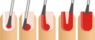 Зоны ногтевой пластины и как наносить краску