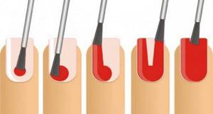 Зоны ногтевой пластины и как наносить краску